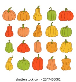 Set of pumpkin of various shapes and colors. Thanksgiving and halloween elements. Vector illustration in hand drawn style