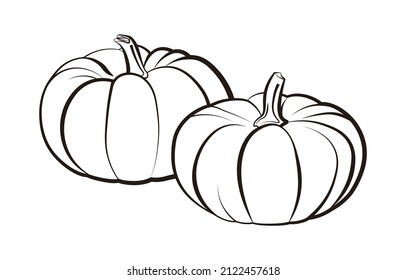 a set of Pumpkin vector illustration