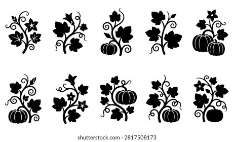 Set of pumpkin and vine leaf icons featuring various arrangements of gourds, leaves, and swirling tendrils. black simple flat vector symbols perfect for autumn, thanksgiving, and harvest-themed designs.