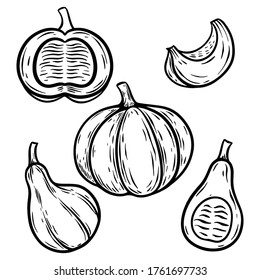 conjunto de ilustraciones vectoriales de calabaza dibujadas a mano