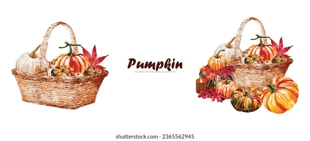 Set of Pumpkin watercolor vector on white background design great for cards, banners, headers, party posters or decorate your artwork.