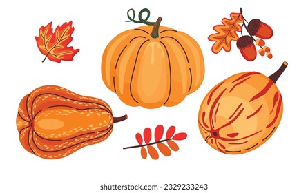 Set of pumpkins and autumn leaves. Fruits of different shapes, acorns, foliage in bright colors. Isolated elements on a white background.Print on fabric and paper. Vector cartoon flat illustration.