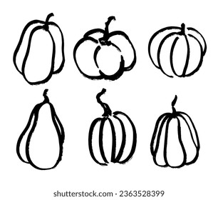 Set of pumpkins. Autumn vegetable drawing with grunge brush. Black and white pumpkin. Vector illustration of food