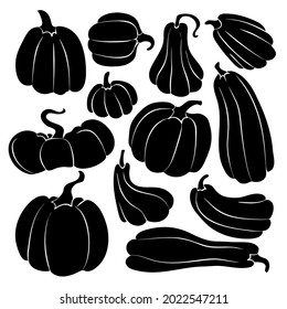 Satz Kürbis schwarze Silhouetten auf Weiß. Eine Sammlung von Kürbissen verschiedener Formen. Vektorgrafik einzeln auf weißem Hintergrund.