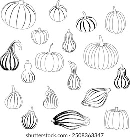A set of pumpkins in black and white. Great for harvest, autumn or Helloween celebrations - make up your own faces. Vector illustration