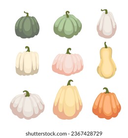 set of pumpkins. Cartoon pumpkins, halloween squash, fall harvest gourds. Autumn thanksgiving and halloween pumpkins.Vector flat illustration isolated on white background. EPS10