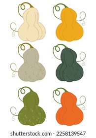 A set of pumpkins of different colors, for decoration in the design