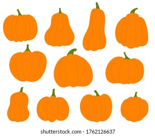 Conjunto de calabazas de diferentes formas. Hortalizas de color naranja otoñal