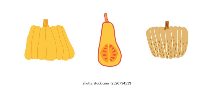 A set of pumpkins of different shapes. Autumn, pumpkins, orange. Vector illustration in flat style.