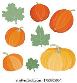 conjunto de calabazas de diferentes formas con hojas, planas, dibujos animados, objetos aislados sobre un fondo blanco, ilustración vectorial,