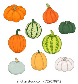 A set of pumpkins of different shapes, varieties, colors drawn by hand on a white background. Vector illustration, isolated.