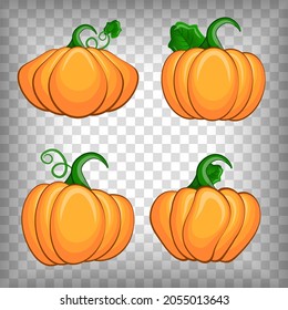 Set of pumpkins of different shapes. Vector cartoon collection. Elements for autumn decorative design, Halloween invitation, harvest