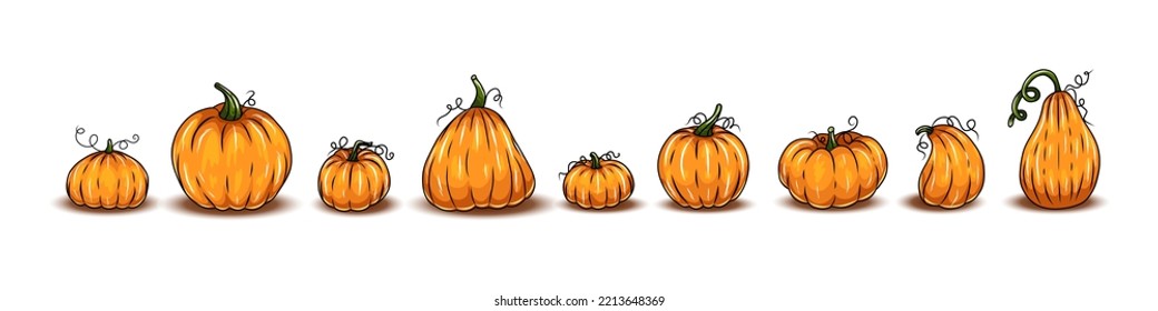 Set of pumpkins, different types of Cartoon pumpkins. halloween, fall harvest gourds. Pumpkins, squash and leaves vector symbols illustrations. Autumn thanksgiving and halloween pumpkins collection