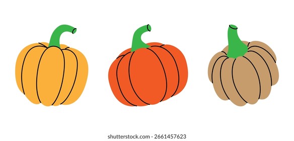 Set of pumpkins. Fresh organic vegetables. Vector illustration