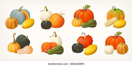 Set of pumpkins gourds and squashes icons arranged in groups. Vegetables illustrations for autumn markets and fairs labels posters and invitations. Isolated colourful vector images.