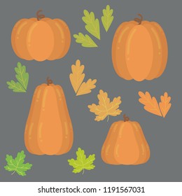 set of pumpkins for halloween and for Thanksgiving