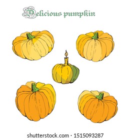 set of pumpkins , isolated images on white background, doodles  