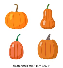 Set of pumpkins isolated on white background. Elements for your design works. Halloween. Thanksgiving Day. Flat style vector illustration.