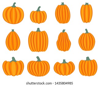 Set of pumpkins isolated on white background. Vector illustration.
