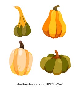Set of pumpkins isolated on a white background. thanksgiving day. Halloween. Harvest fast gourd. Vector.