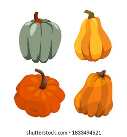 Set of pumpkins isolated on a white background. thanksgiving day. Halloween. Harvest fast gourd. Vector.