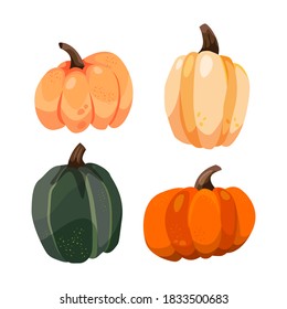 Set of pumpkins isolated on a white background. thanksgiving day. Halloween. Harvest fast gourd. Vector.