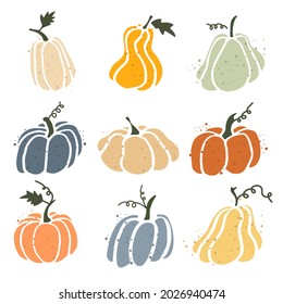 Set of pumpkins isolated on white background. Elements for autumn decorative design, halloween invitation, harvest thanksgiving. Vector illustration