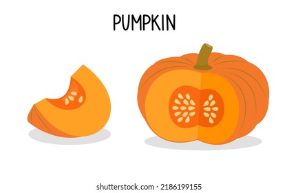 Conjunto de calabazas aisladas sobre fondo blanco. Ilustración del vector 