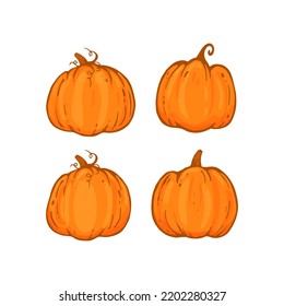 set of pumpkins isolated on white background, autumn pumking cartoon style.Vector illustration