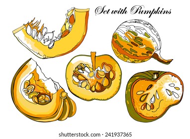 Set of Pumpkins Isolated on White. Vector illustration