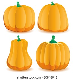Set of pumpkins isolated on white, part 2, vector illustration
