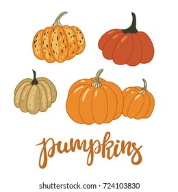 Set of pumpkins isolated on white. Vector illustration in a hand-drawn style.