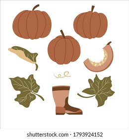 Set of pumpkins with leaves and rubber boot. Autumn elements in brown tones. Vector flat illustration.