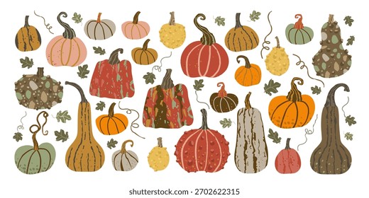 Set of pumpkins with leaves and stems. The pumpkins are of different sizes and colors