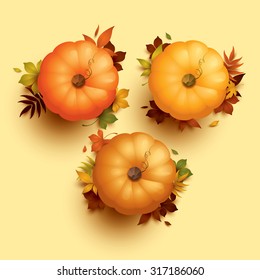 Set pumpkins with leaves for thanksgiving