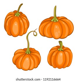 Set of pumpkins on white background. Isolated vector illustration in cartoon style.