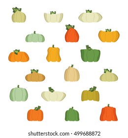 Set of pumpkins and squashes - vector illustration