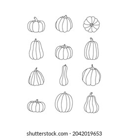 Set of pumpkins in various shapes, black outlined. Vector hand-drawn collection of Harvest festival, Thanksgiving, Halloween symbols. Autumn decorative elements for your design. Vegetarian food.