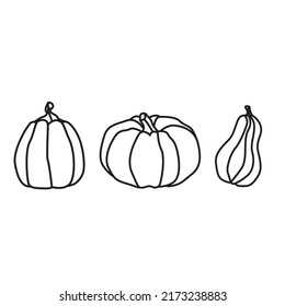 Un conjunto de calabazas de varias formas, con un contorno negro. Colección vectorial de calabazas dibujadas a mano sobre un fondo blanco. Elementos para el diseño decorativo de otoño, invitación a halloween, cosecha