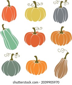 Un conjunto de calabazas de varias formas y colores. Elementos de Acción de Gracias y Halloween.