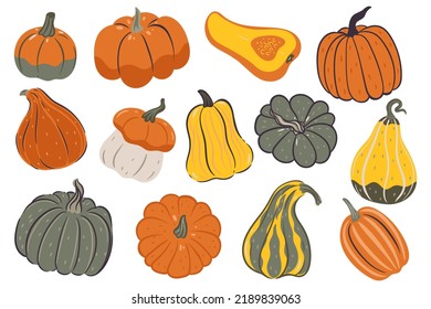 Set of pumpkins of various shapes and colors isolated on a white background. Vector graphics.