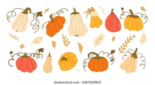 Set of pumpkins in various shapes and colors. Textured autumn ripe harvest vegetables. Vector hand drawn flat collection illustration isolated on white background.