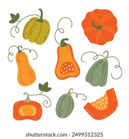 Set of pumpkins in various shapes and colors. Vector hand drawn flat collection illustration isolated on white background. Pumpkin autumn