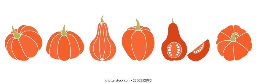 A set of pumpkins of various shapes. Harvest vegetables in autumn. Vector graphics.