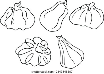 conjunto de abóboras de várias formas em estilo de arte de linha desenhado com várias linhas, para logotipos ou padrões