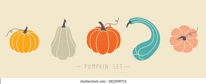 Set of pumpkins of various shapes, sizes and colors. Colorful and cute elements for Halloween, Thanksgiving and autumn season. Collection of different isolated flat vector objects