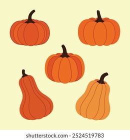 Set of pumpkins in various shapes sizes and colors