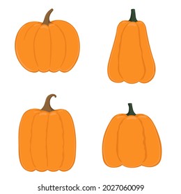 Conjunto de calabazas de varias formas. 
Elementos de Acción de Gracias y Halloween. Plantilla para el diseño decorativo de otoño. Ilustración vectorial aislada 