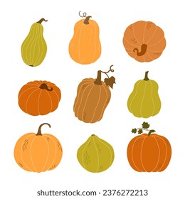 A set of pumpkins in various shapes. Vector collection of cute hand drawn pumpkins on white background.