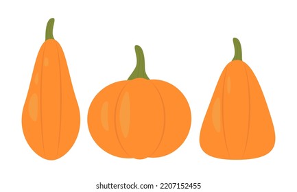 A set of pumpkins. Vector collection of cute hand drawn pumpkins on white background. Elements for autumn decorative design, halloween invitation, harvest thanksgiving.